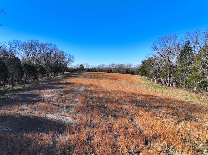 DJI_20260317092907_0967_D