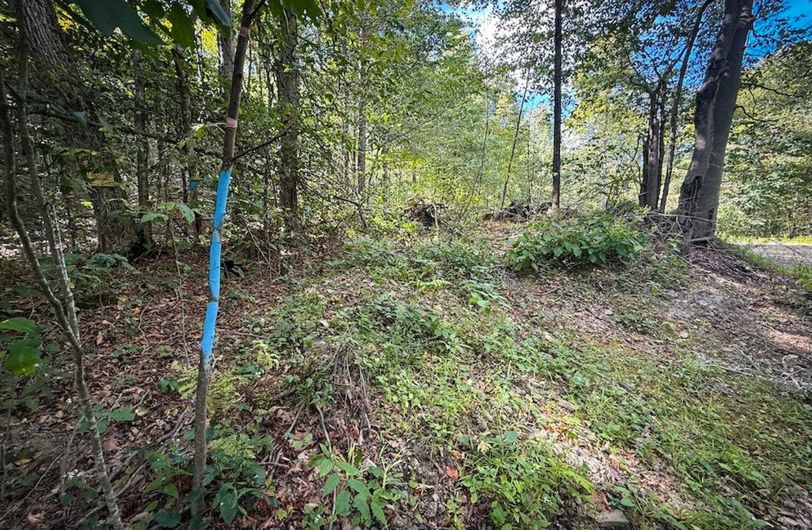 Tompkins_103.12_SusquehannaLandCo_Photos_3