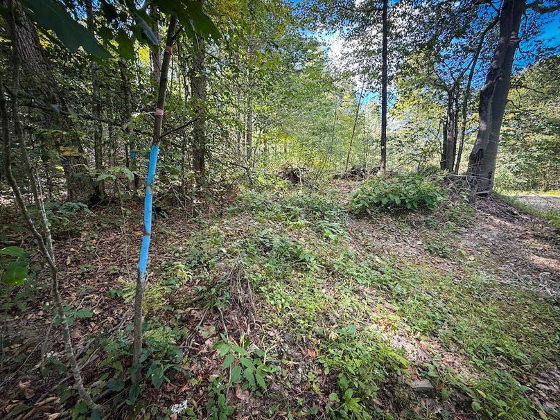 Tompkins_103.12_SusquehannaLandCo_Photos_3