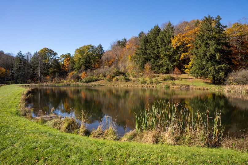 Elk PA 7000 Feature_Pro Photo-122