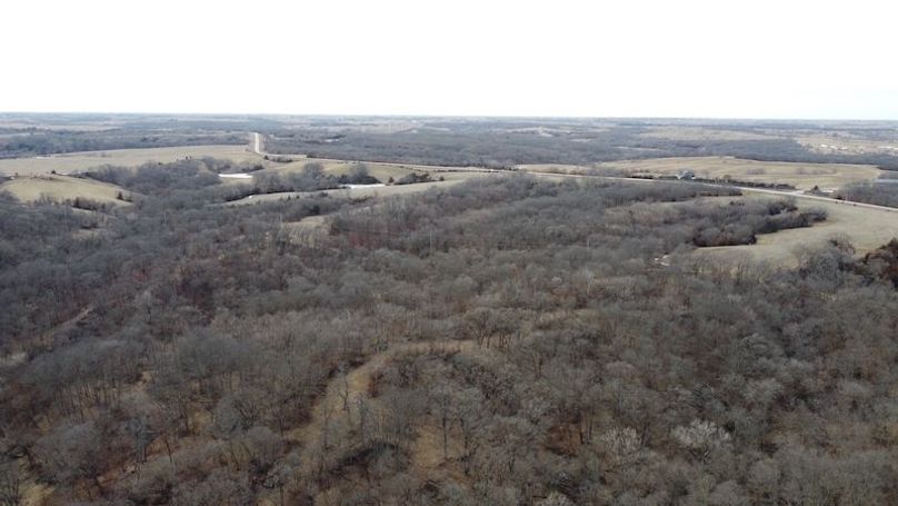 DJI_0648