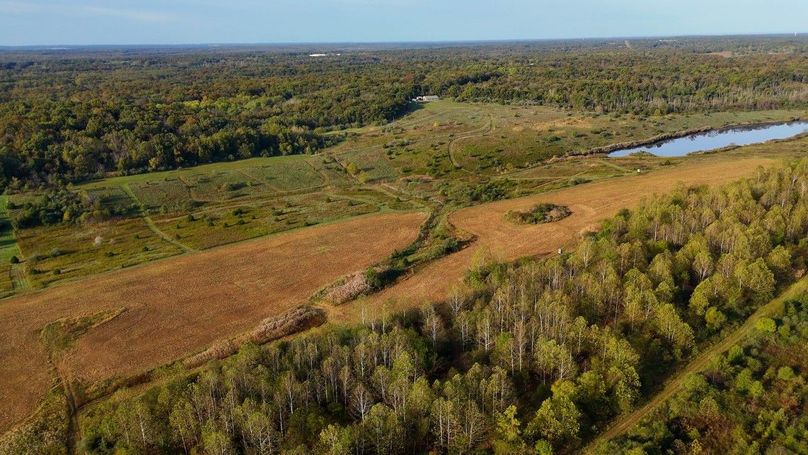 Sequence 07.00_05_30_14.Still107