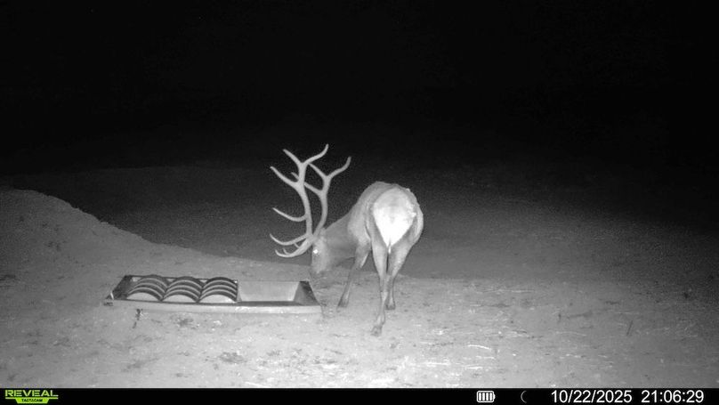 016578003984348-100-3-10232025013727-HD-SYFW02413