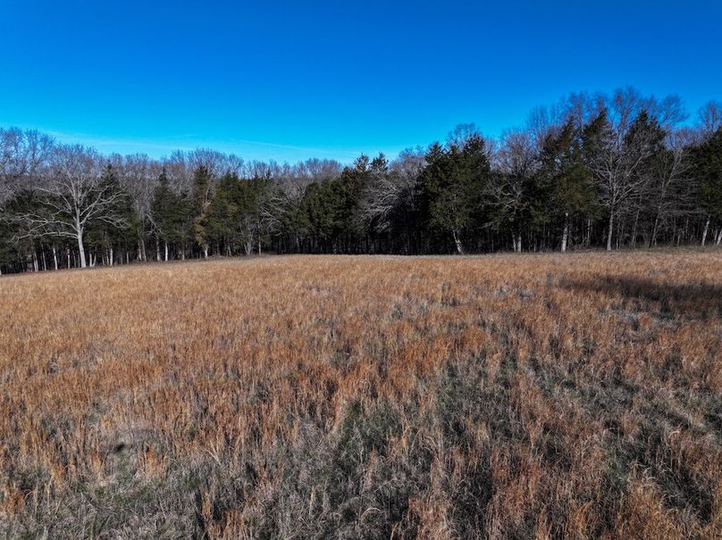 DJI_20260317092827_0965_D