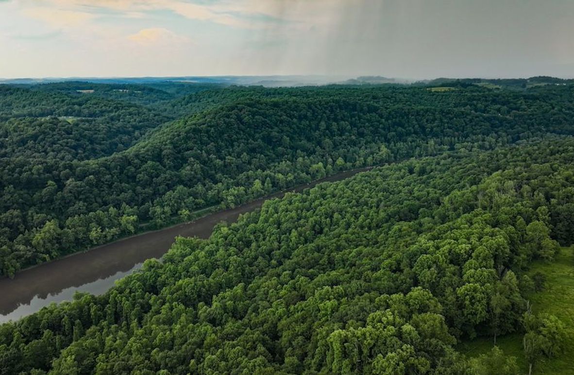 Fayette, 14.14, Kokot-03