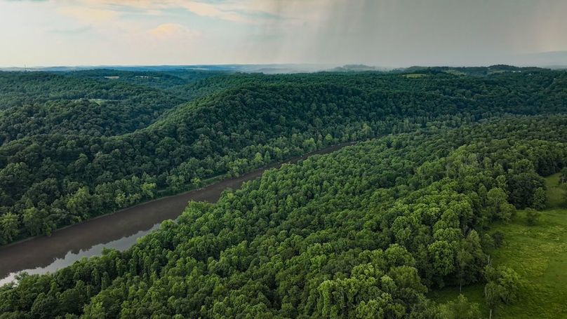 Fayette, 14.14, Kokot-03