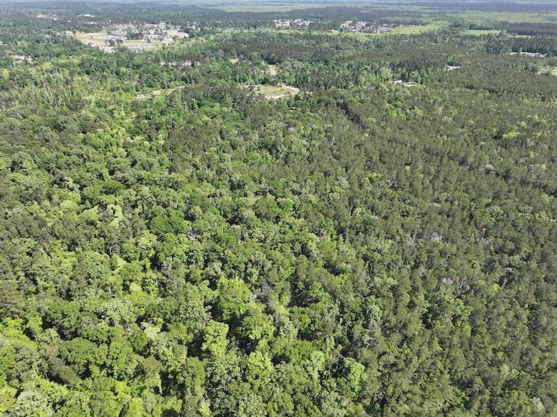 dji_fly_20260413_140822_0046_1776114932285_photo