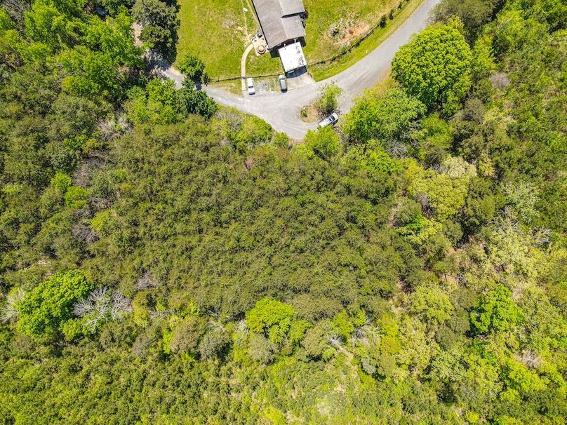 dji_fly_20250414_125310_357_1744649618054_photo