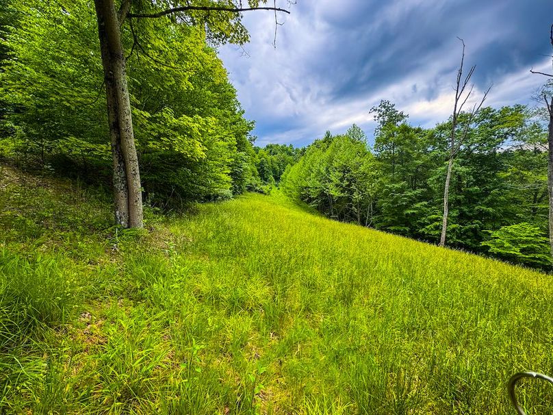 Tyler, WV 313.87 AC -55