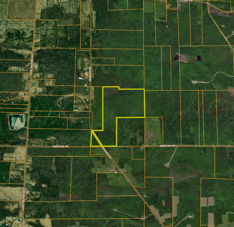 Screenshot 2025-07-03 091848