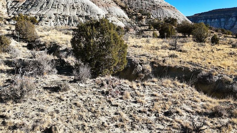 DJI_20241219101737_0059_D