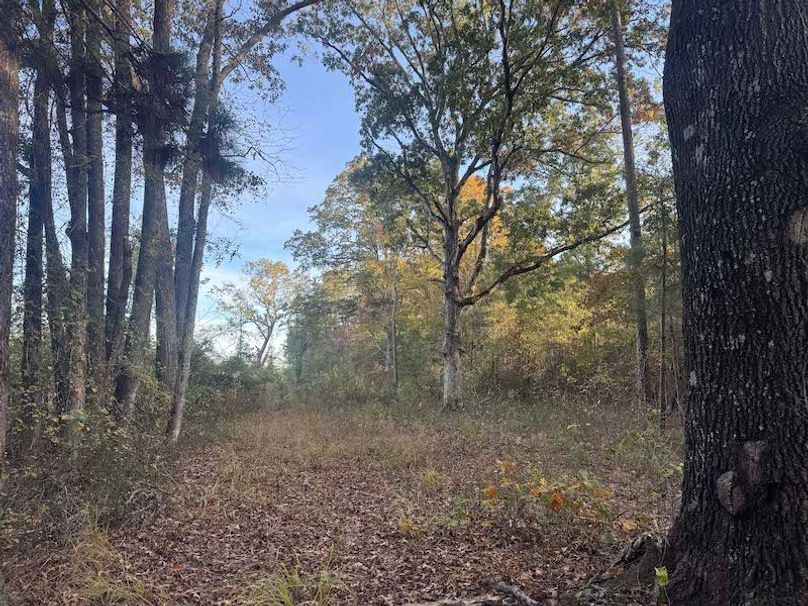 Jeff 11720251111_0192