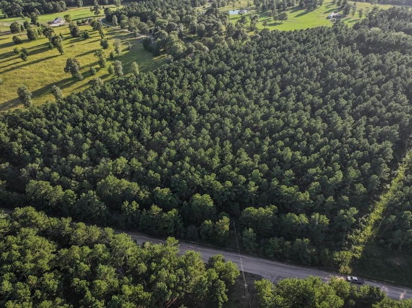 Copy of DJI_20240704191312_0050_D