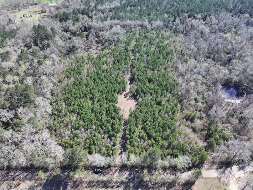 dji_fly_20260302_130130_0329_1772559704493_photo