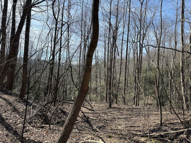 Cherokee 118.85 Harris Top-34