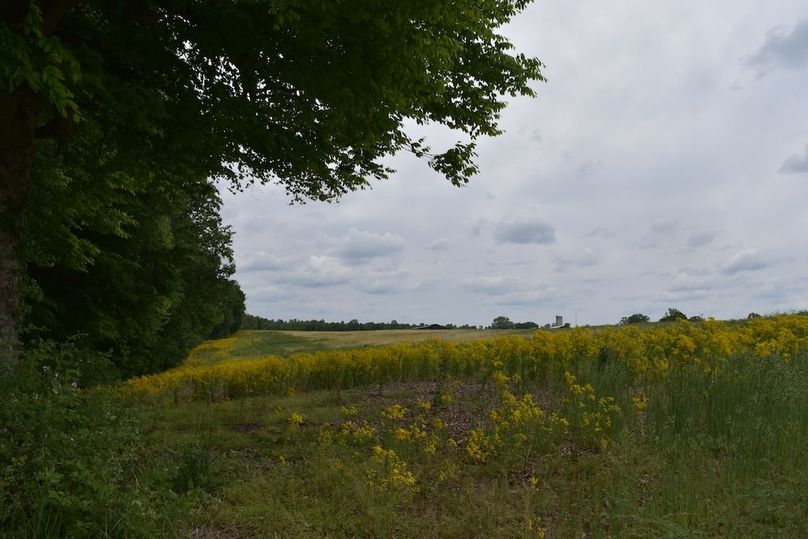 DSC_2595
