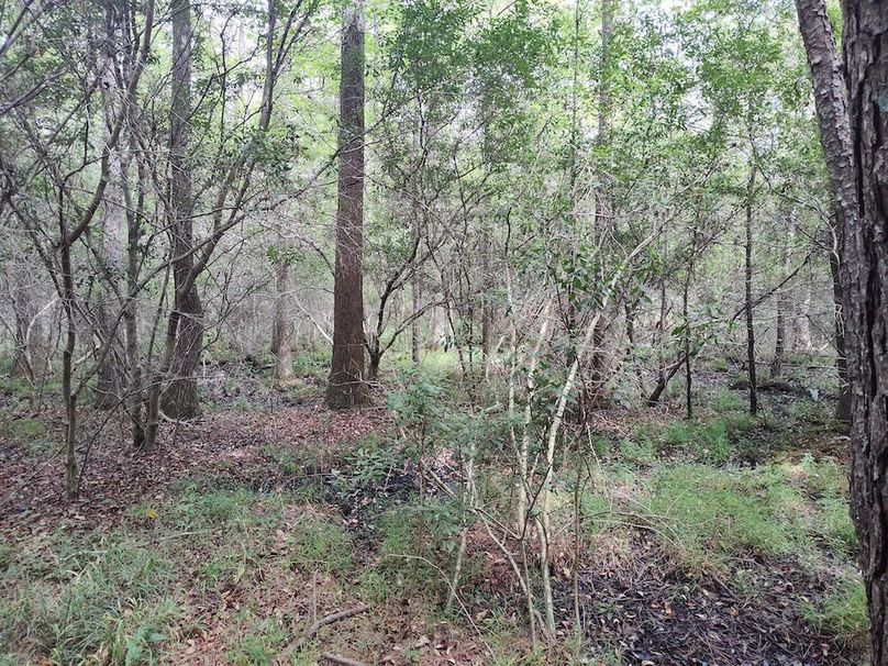 IMG_20250830_135105264