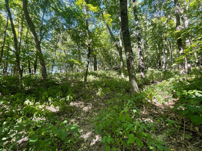 Grant 110 - 44 of 47