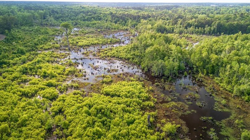 Carolina Homestead Horry-09
