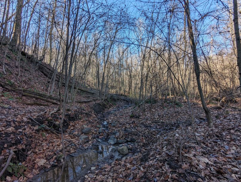 PXL_20231215_163839363