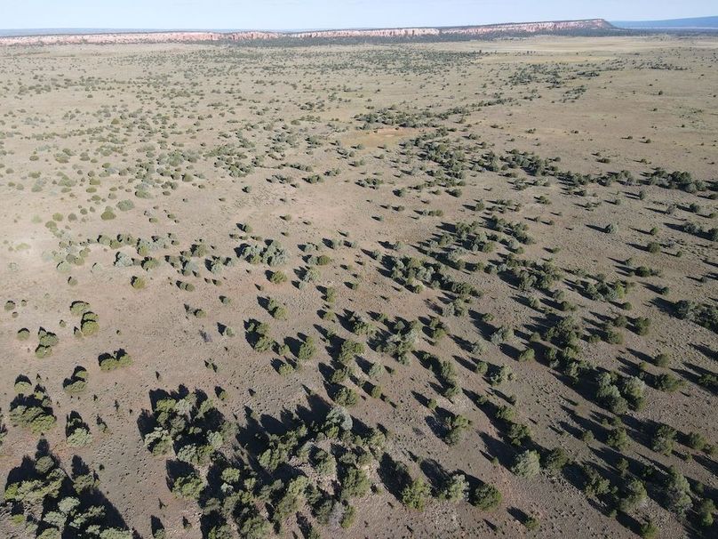 dji_fly_20240816_081240_534_1723817994484_photo