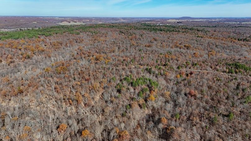 DJI_20241127122428_0022_D