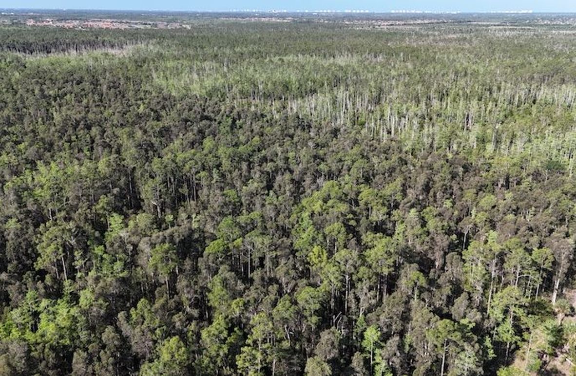 DJI_20260422092256_0494_D