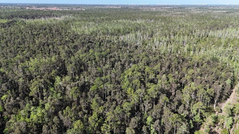 DJI_20260422092256_0494_D