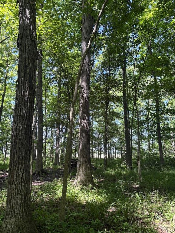 trail 5