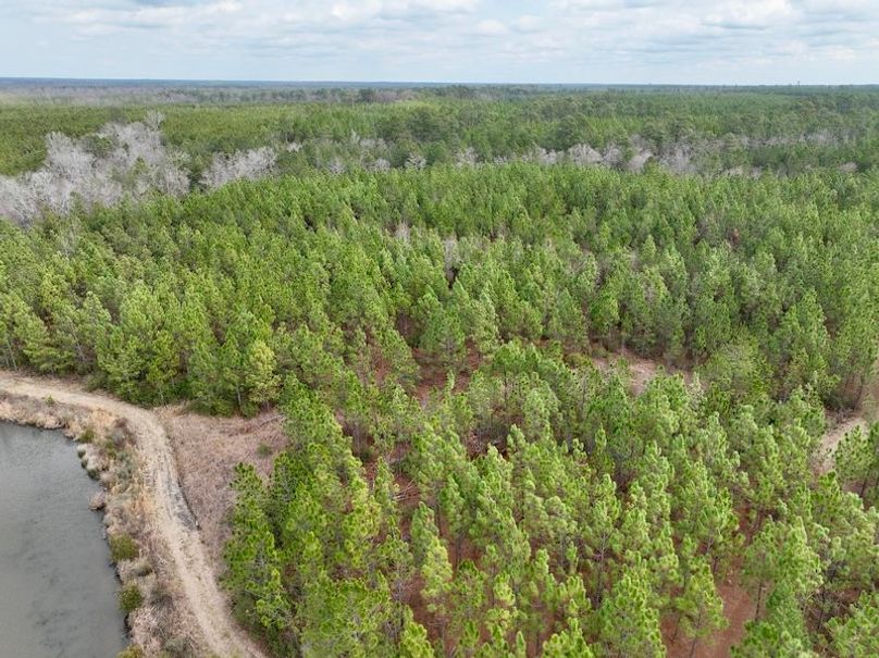 dji_fly_20260211_133622_329_1770835090034_photo