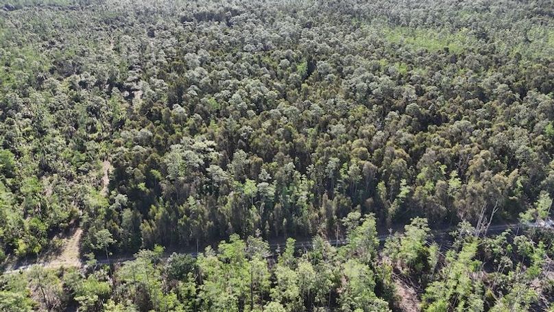 DJI_20260422092351_0497_D