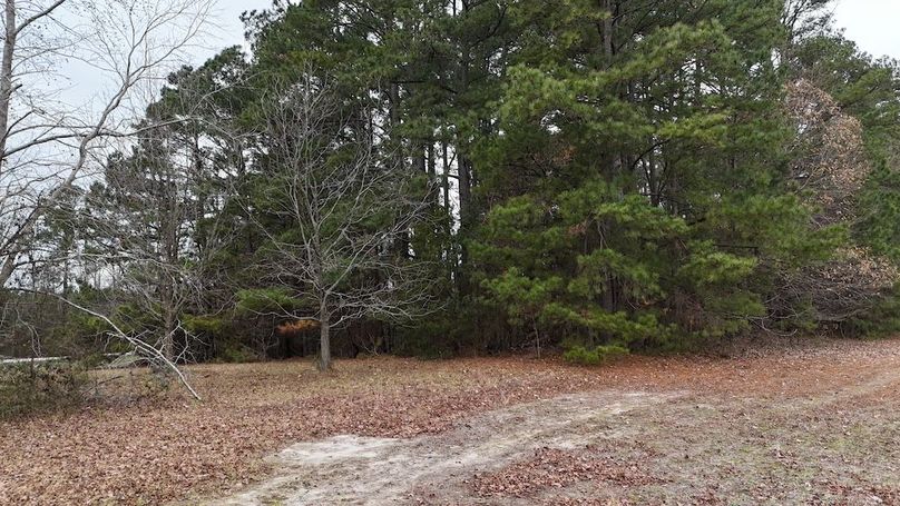 dji_fly_20251212_130000_0107_1765562204595_photo