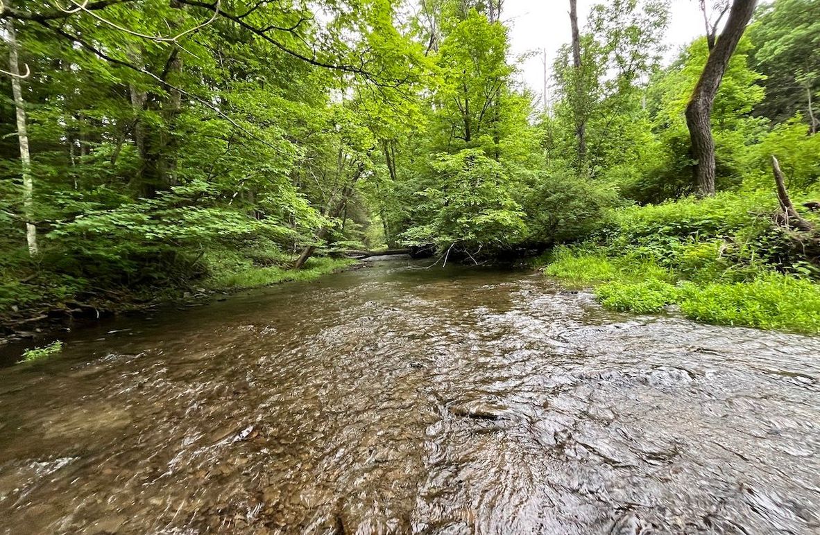 Schuyler_146.53_Morrow_Photos_4