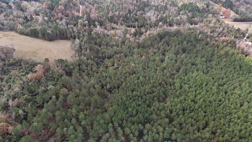 DJI_20251120002418_0924_D