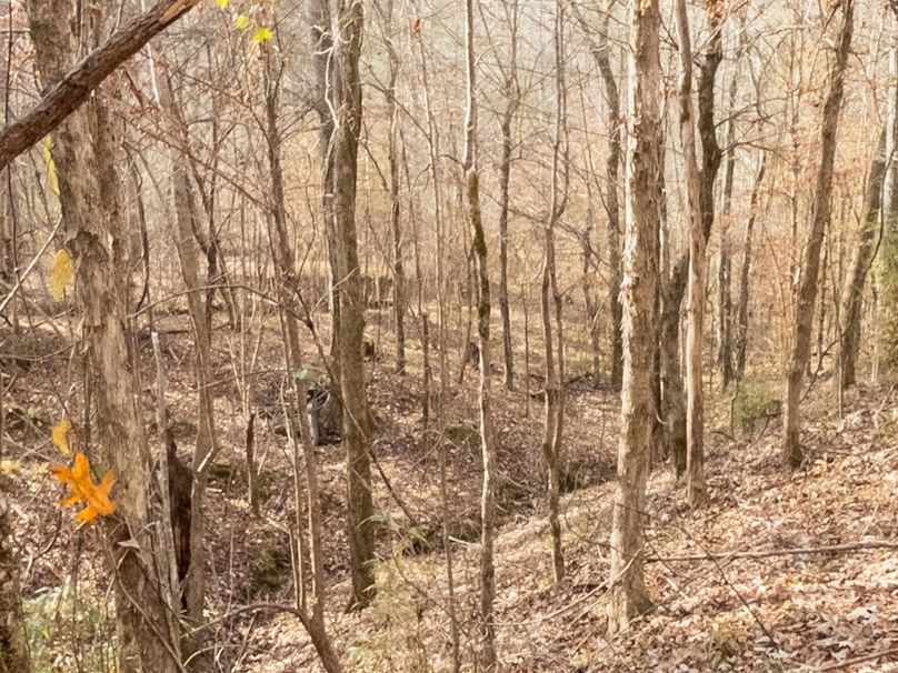 Yazoo Co - 75 - Batton-41