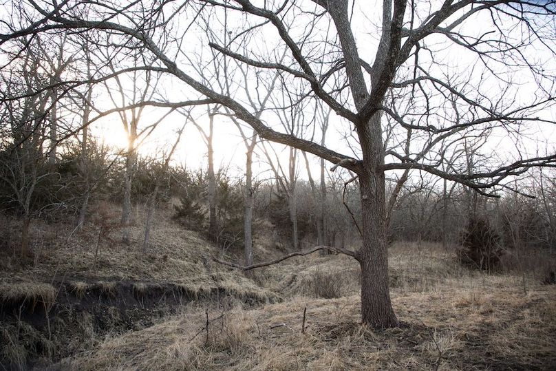 MONTGOMERY CO IA 156.78_41