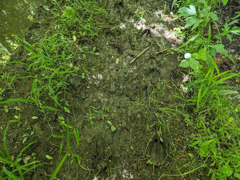 PXL_20240607_184502847