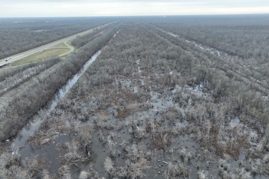 dji_fly_20250206_103212_969_1738862294547_photo