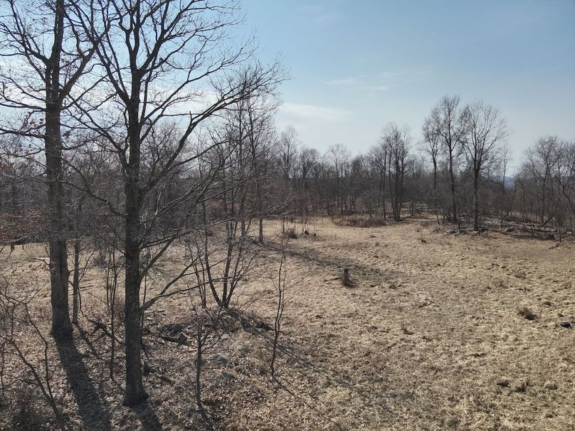 DJI_20250304115421_0028_V