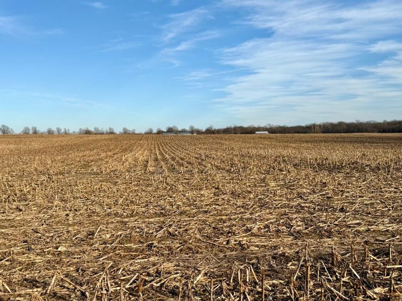 Copy of IMG_7200 Large