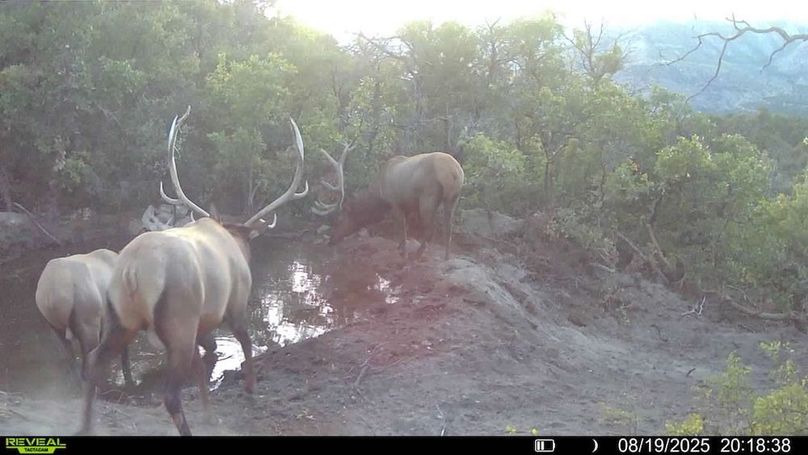 016578004083249-37-3-08192025201838-V-SYFW00048