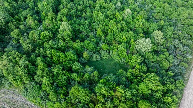 DJI_20260426181821_0007_D