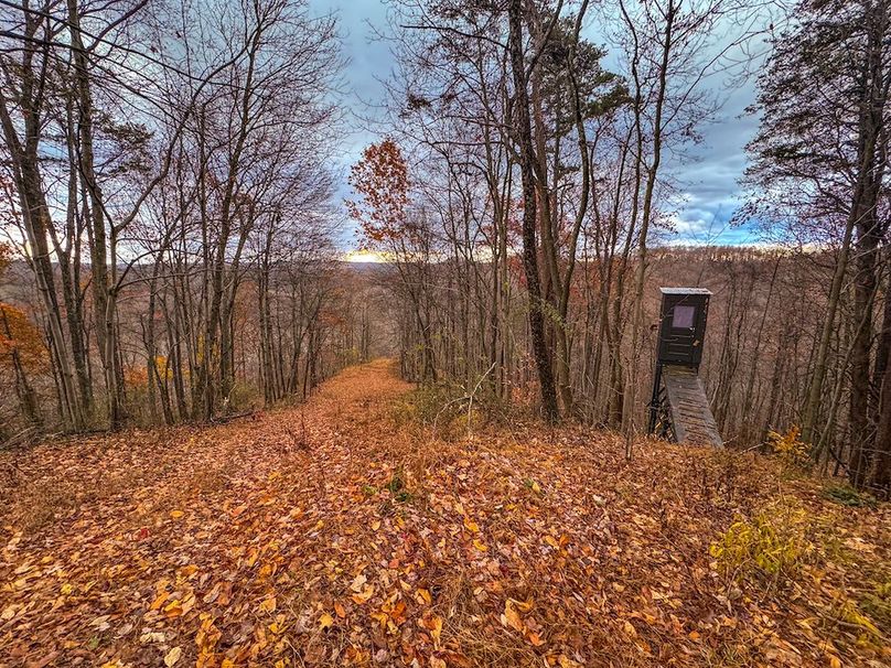 Ritchie, WV 14.081 AC Currey-35