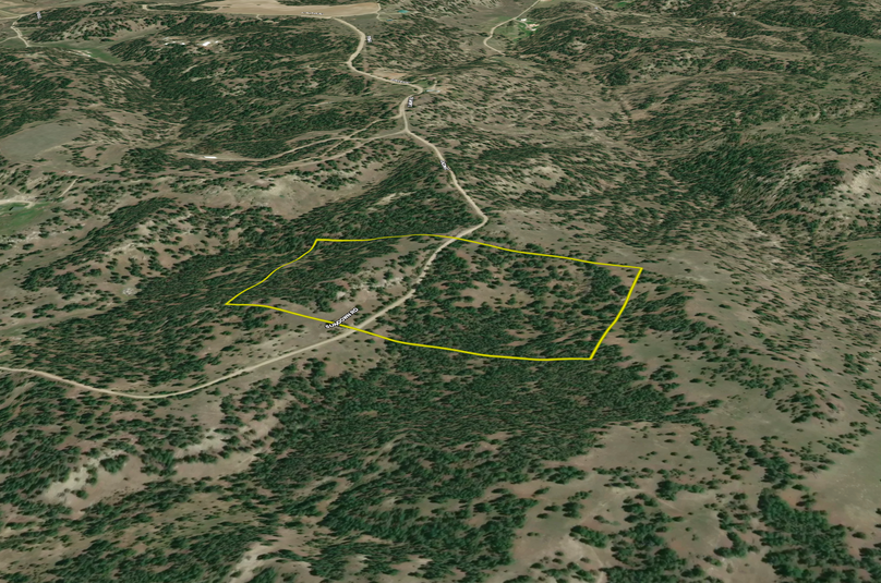 Screenshot 2023-11-06 at 10.38.53 AM