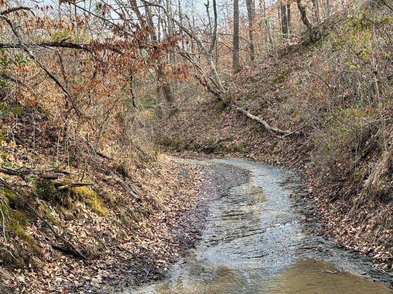 023 beautiful waters of Raccoon Branch-2