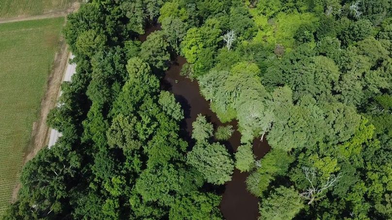 2024-06-01-10-29-59-904