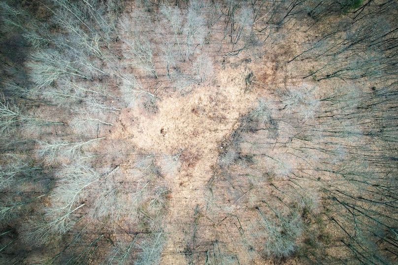 dji_fly_20260302_104234_538_1772466950477_photo