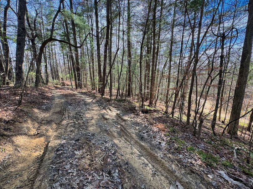 003 picturesque views from the down the dirt road