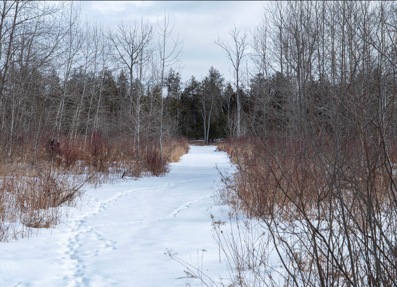 Screenshot 2026-02-24 at 2.29.27 PM