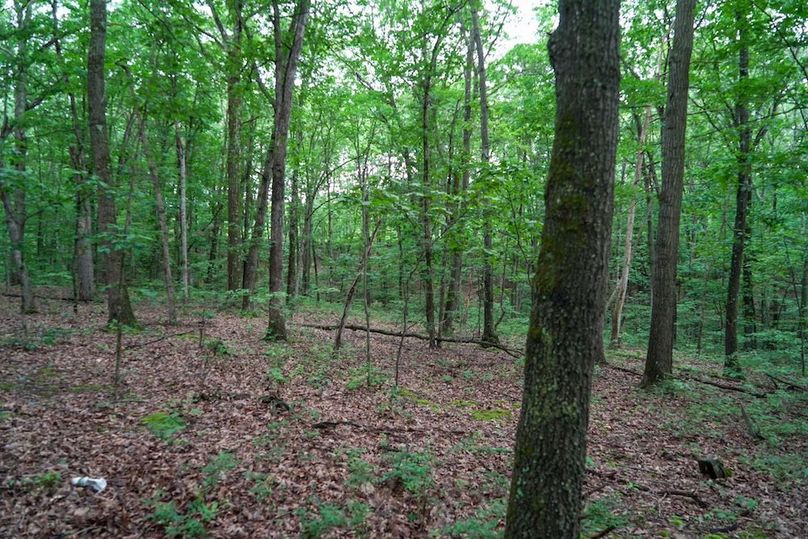 Bedford,121,Beegle-26